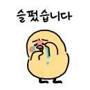 우성 태권도장 이미지