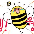 프로핏 이미지