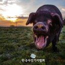 가작축산 이미지