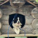 은경목장 이미지