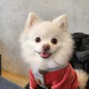 브루잉라운지93