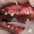 해옴동물병원 이미지