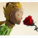 선경주상복합 이미지