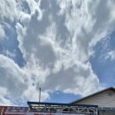 대흥식당 이미지