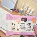 빵댕이넷 이미지