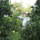 이슬농장2 이미지