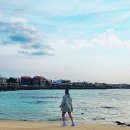 ★인피니피가드한줄무릎보호대★러닝무릎보호대/슬개건보호대/찐사용후기