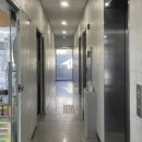 레이저 | 피지낭종 레이저 후기