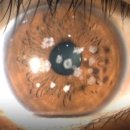 안경제작소 이미지