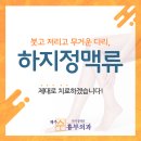 제주수흉부외과의원 이미지