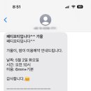 페티포티 이미지