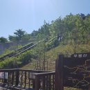 무봉산둘레길 이미지