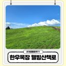 웰빙목장 | 서산 가볼만한곳 한우목장 웰빙산책로 아이와 다녀온 여름 후기