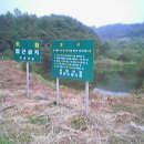 신장소류지 이미지