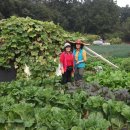 기홍농장 이미지