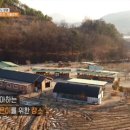 삼남매목장 2 이미지