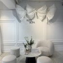 의상디자인 중급A | [웨딩블로그 ep. 8] 로즈로사 촬영 드레스 셀렉 후기(준비사항 및 시안 공유)