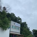 헌산중학교 | [용인/처인구]와우정사 근처 진짜 맛집 '고등어식당'