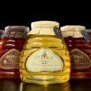 벌꿀호텔 이미지