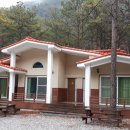 비비정 상생 도시숲 이미지