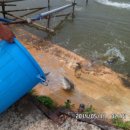 파주민물 이미지