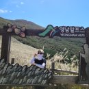 제일사슴농장 이미지