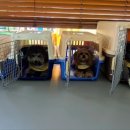 행복켄넬 이미지