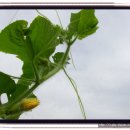 샘밭 농장 이미지