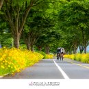 명월공원 이미지