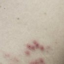 상동의원 이미지