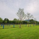 청계산수변공원 이미지