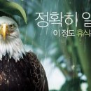 다문화 탐험대 이미지