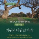 제주 바람길 제주매일