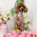 몽개몽개 이미지