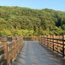 봉구스밥버거가톨릭대점 이미지