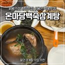 2375 | [경기도 용인] 용인 삼계탕 맛집 온마당백숙삼계탕 방문 후기