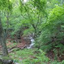 안터골민박 이미지