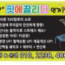 핏에끌리다
