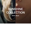 선샤인퍼피 이미지