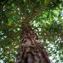 대형손세차 이미지