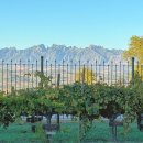 올리브 농장 | 바르셀로나 근교 찐 경험: 몬세라트 &amp; 와이너리/올리브농장 투어 완벽 가이드