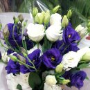 프렌치 스타일 유러피안 꽃다발 이미지