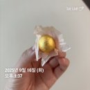 세종한의원 | 세종시 공진단 원장 직접 복용 후기 l 공진단 효과 피로 개선 면역력 체력 집중력 증진 한의원