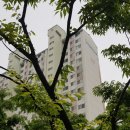 영남아파트입구 이미지