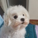 빈이랑은이랑 이미지