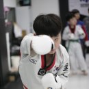 양정태권도장 이미지