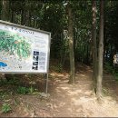 수정4동체육공원 이미지