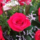 백송이꽃화원 이미지