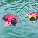 유동어촌체험마을 이미지