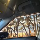 전국 용한 점집 후기 | 전국 유명한 점집에서 신가물 신끼 해결하고 새 삶 찾은 사연 (feat. 지광신당갤러리) 이미지